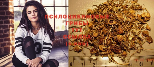 эйфоретик Алзамай