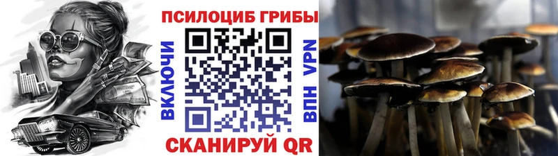площадка Telegram Кемь Галлюциногенные грибы Psilocybine cubensis